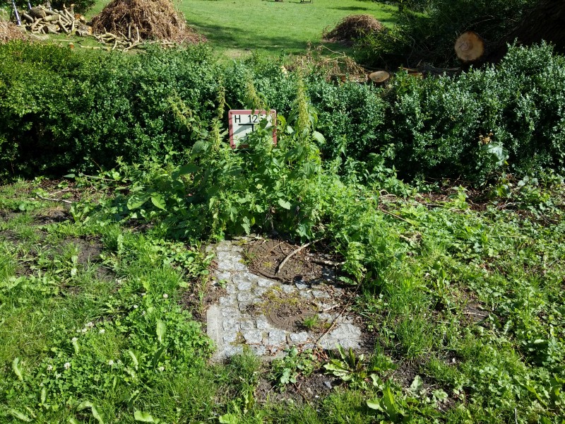 Hydrant mit Brennnesseln