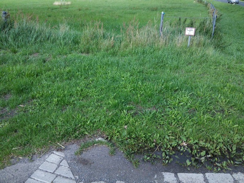 Hydrant überdeckt