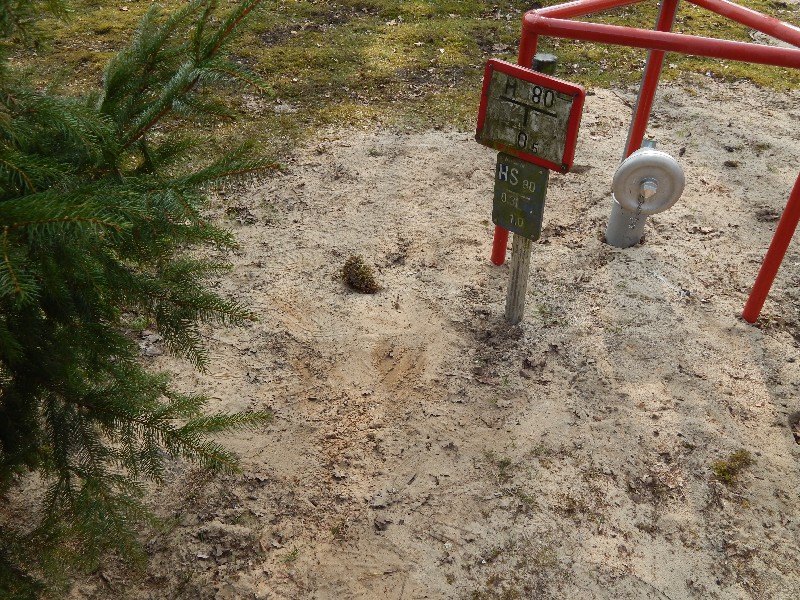 Hydrant überdeckt und Schild verdreckt