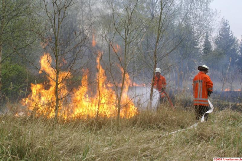 Flächenbrand