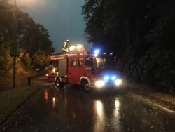 Weiterlesen: Einsatz Baum auf Strasse