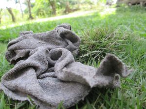 rags 245431 640
